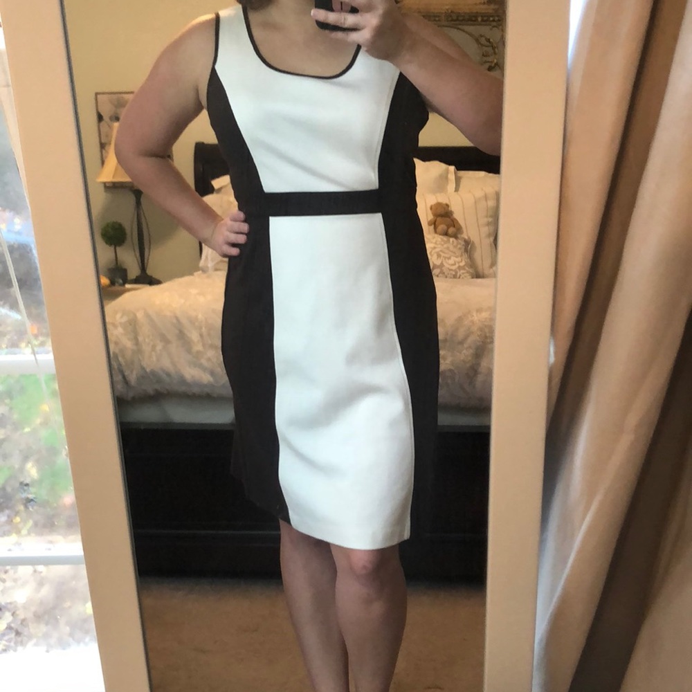 Loft chocolate & cream color block dress